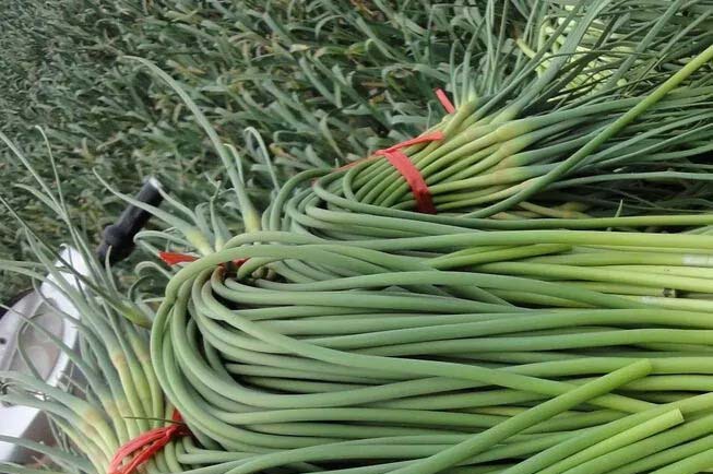 楊家坪配送蔬菜電話號(hào)碼